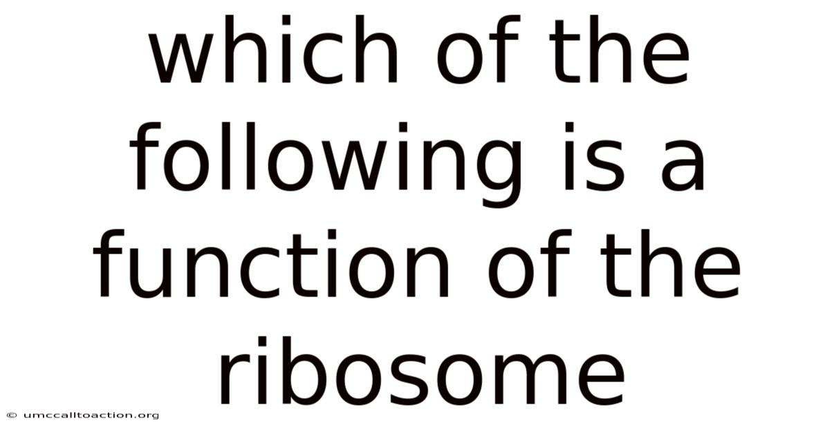 Which Of The Following Is A Function Of The Ribosome
