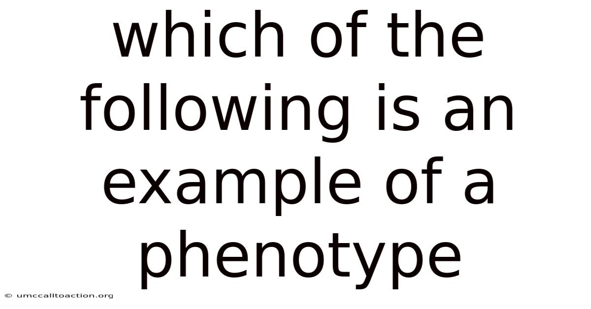 Which Of The Following Is An Example Of A Phenotype