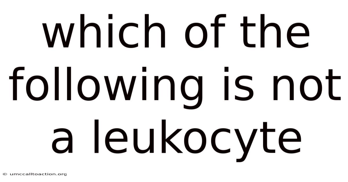 Which Of The Following Is Not A Leukocyte