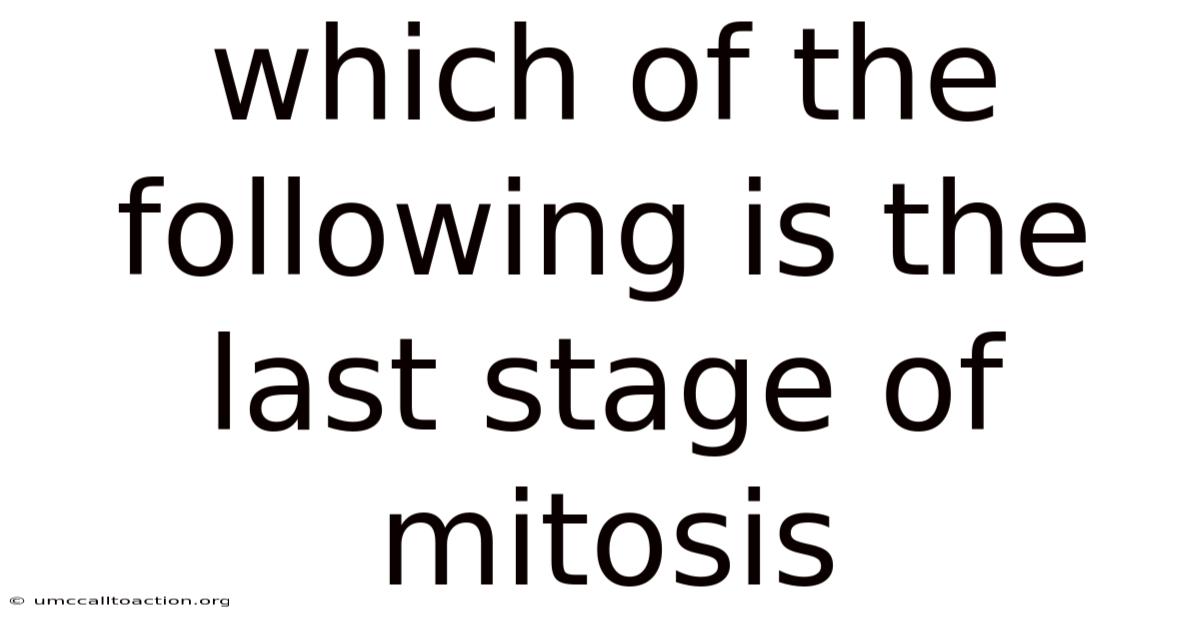 Which Of The Following Is The Last Stage Of Mitosis