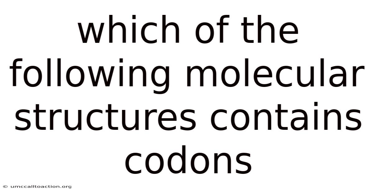 Which Of The Following Molecular Structures Contains Codons