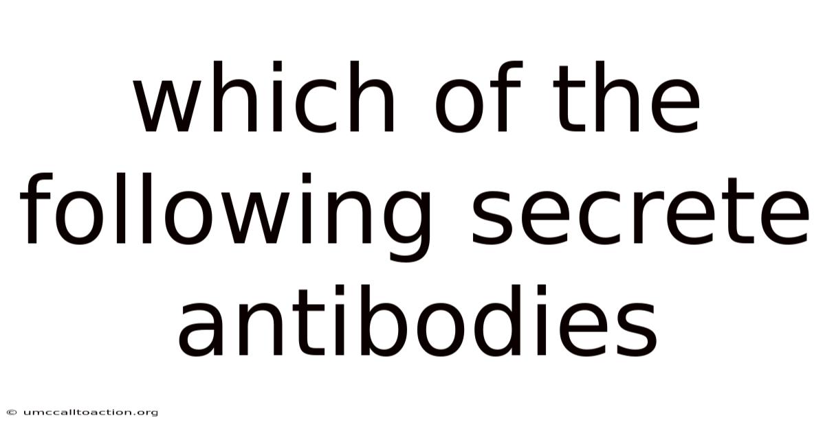 Which Of The Following Secrete Antibodies
