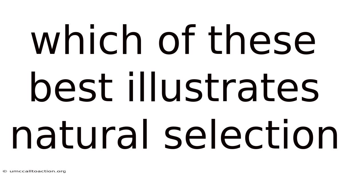 Which Of These Best Illustrates Natural Selection