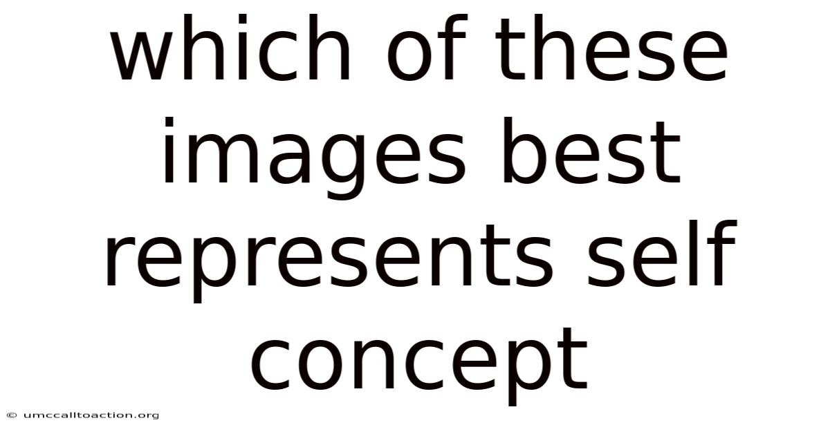 Which Of These Images Best Represents Self Concept
