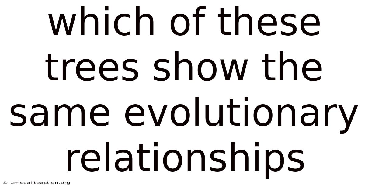 Which Of These Trees Show The Same Evolutionary Relationships