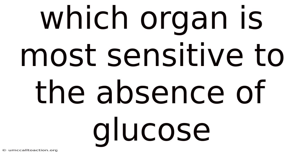 Which Organ Is Most Sensitive To The Absence Of Glucose