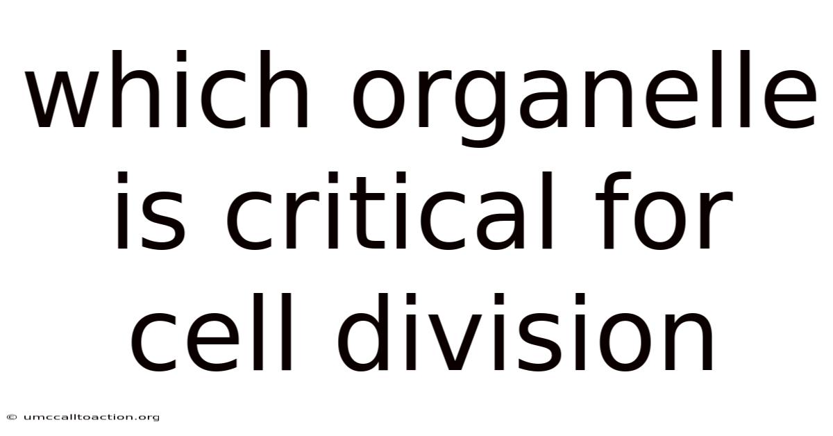 Which Organelle Is Critical For Cell Division