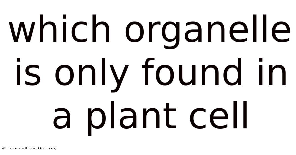 Which Organelle Is Only Found In A Plant Cell