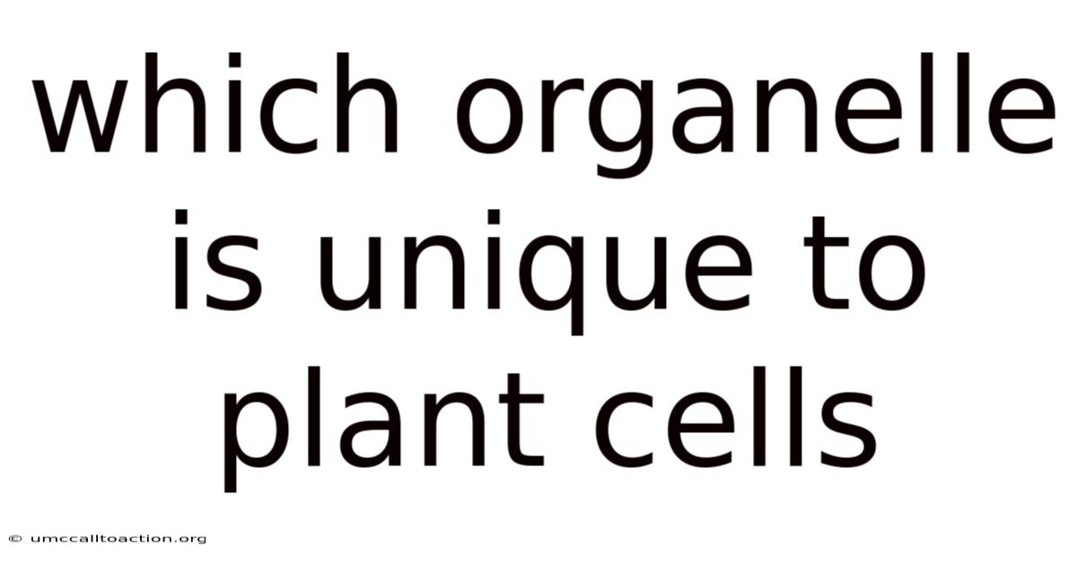 Which Organelle Is Unique To Plant Cells