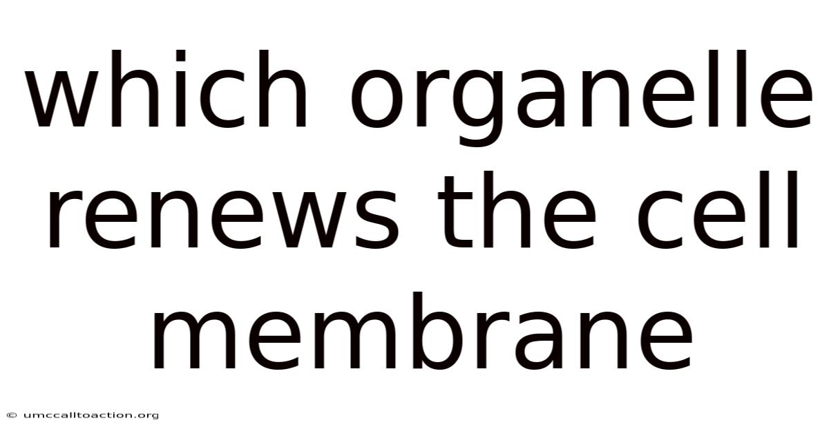 Which Organelle Renews The Cell Membrane