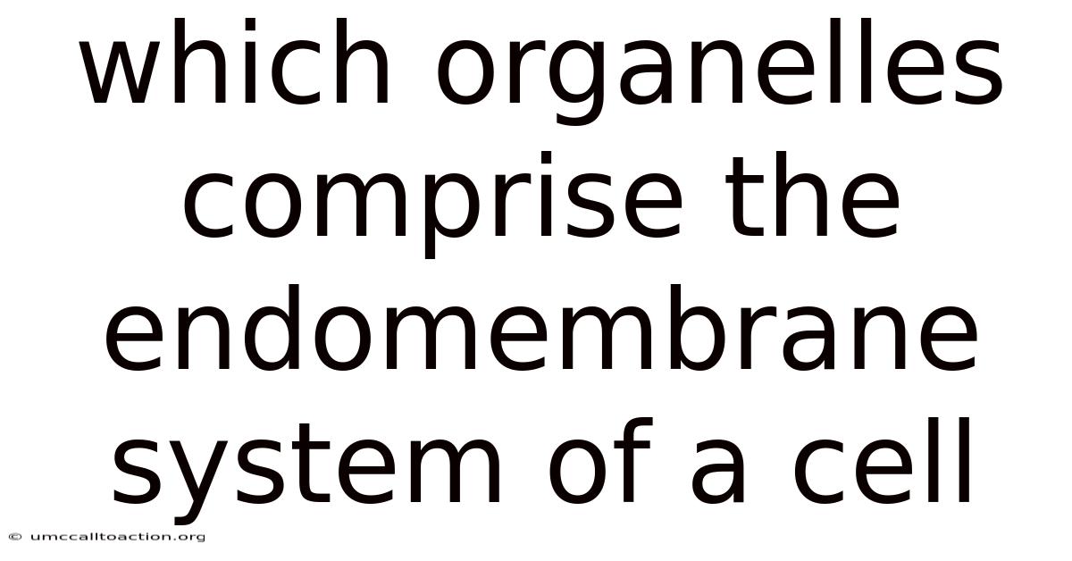 Which Organelles Comprise The Endomembrane System Of A Cell