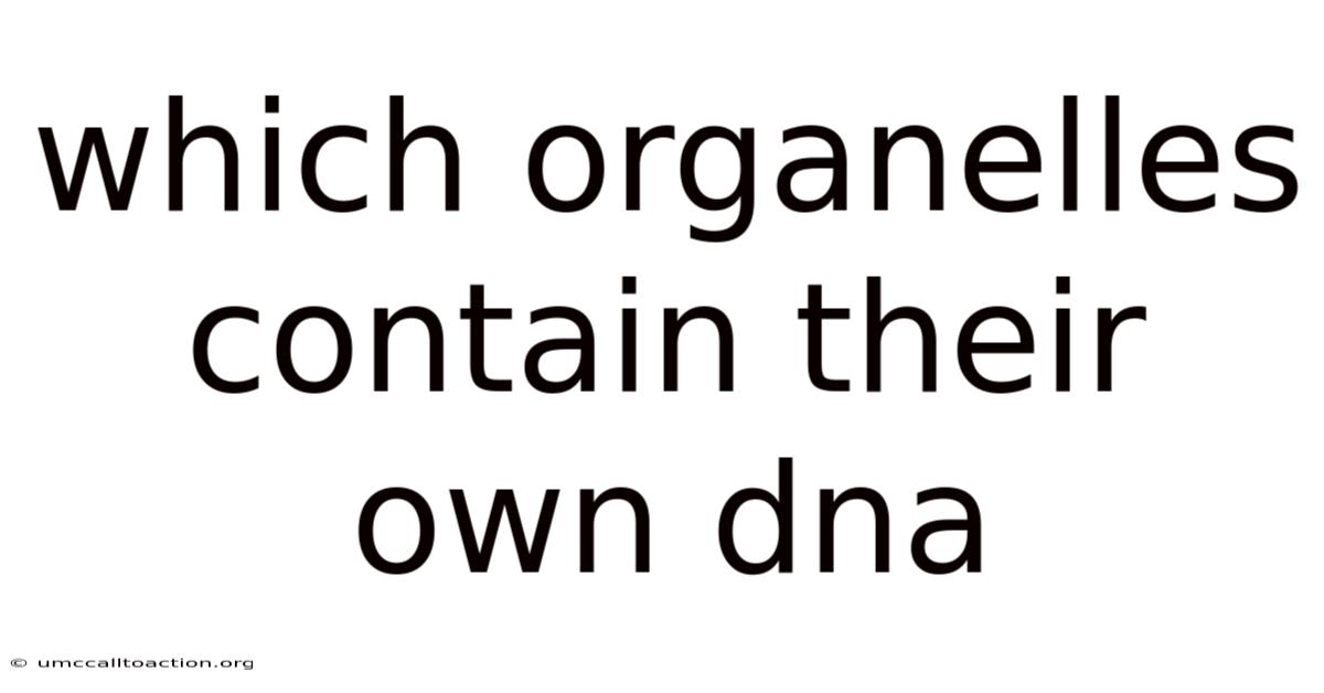 Which Organelles Contain Their Own Dna