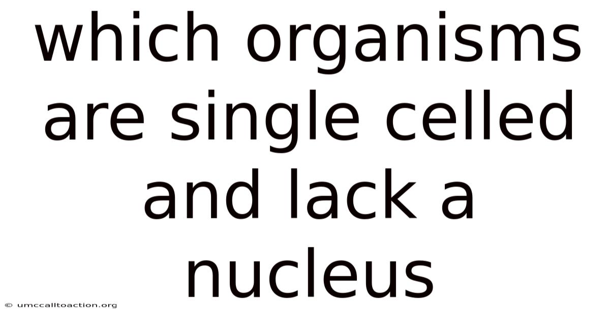 Which Organisms Are Single Celled And Lack A Nucleus