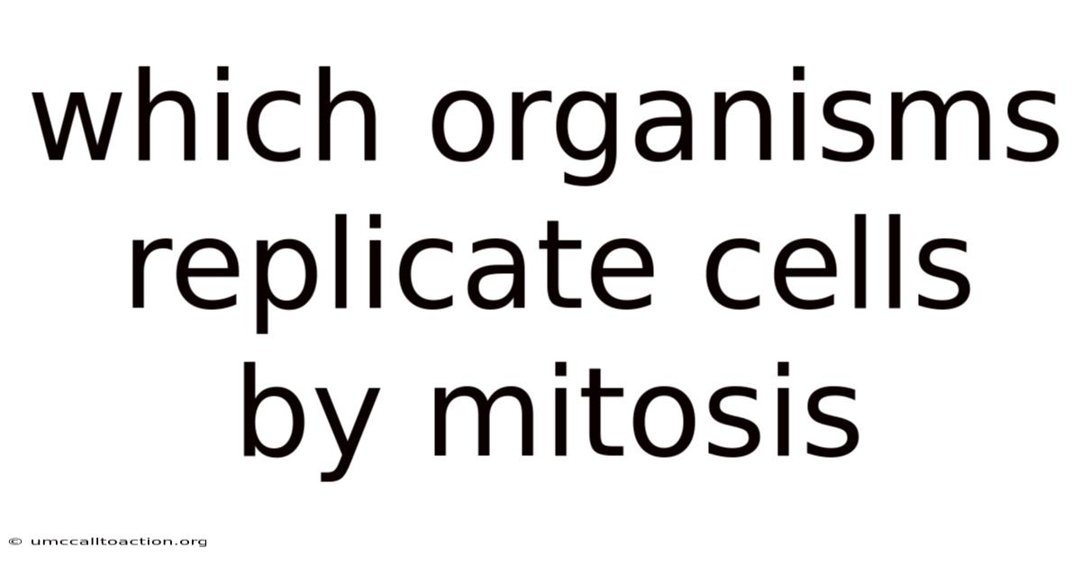 Which Organisms Replicate Cells By Mitosis
