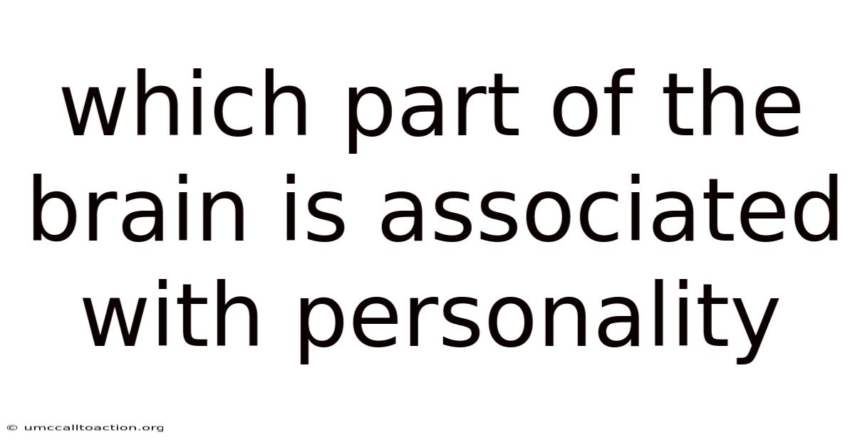 Which Part Of The Brain Is Associated With Personality