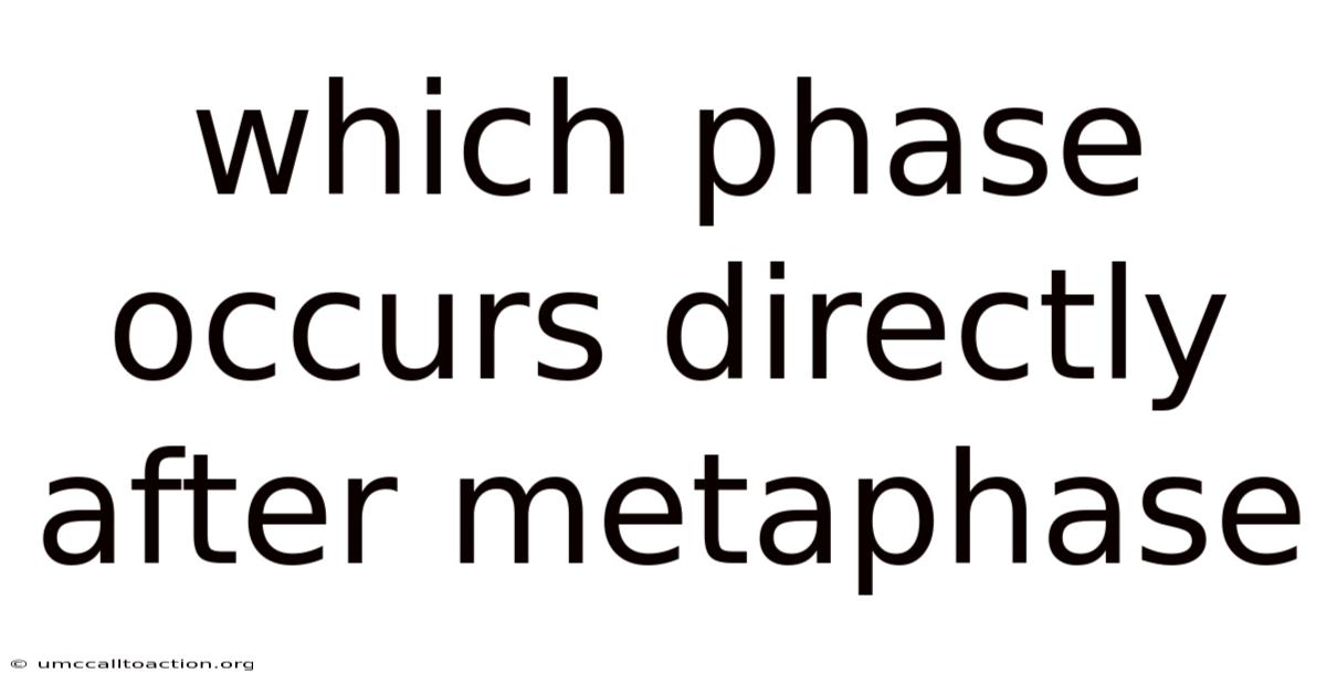 Which Phase Occurs Directly After Metaphase