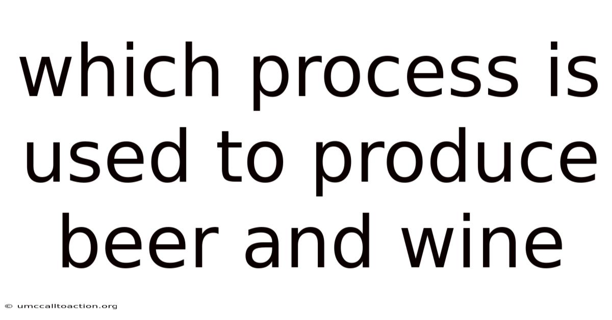 Which Process Is Used To Produce Beer And Wine