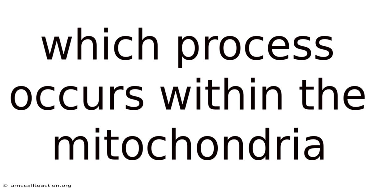 Which Process Occurs Within The Mitochondria