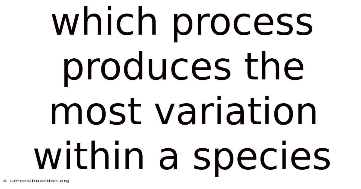 Which Process Produces The Most Variation Within A Species