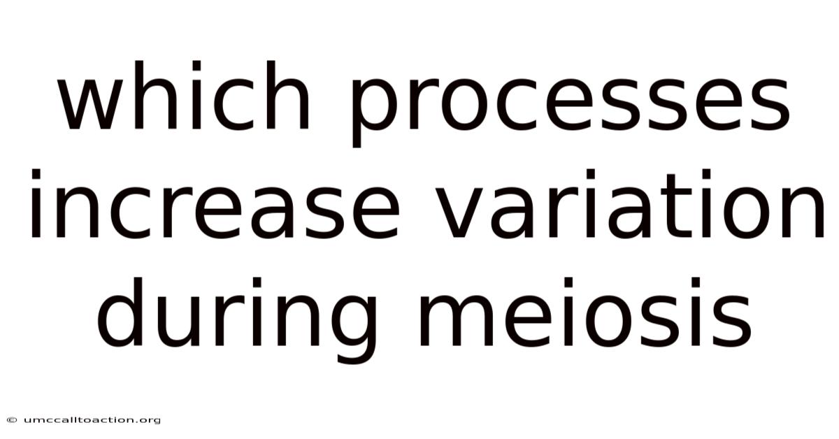 Which Processes Increase Variation During Meiosis