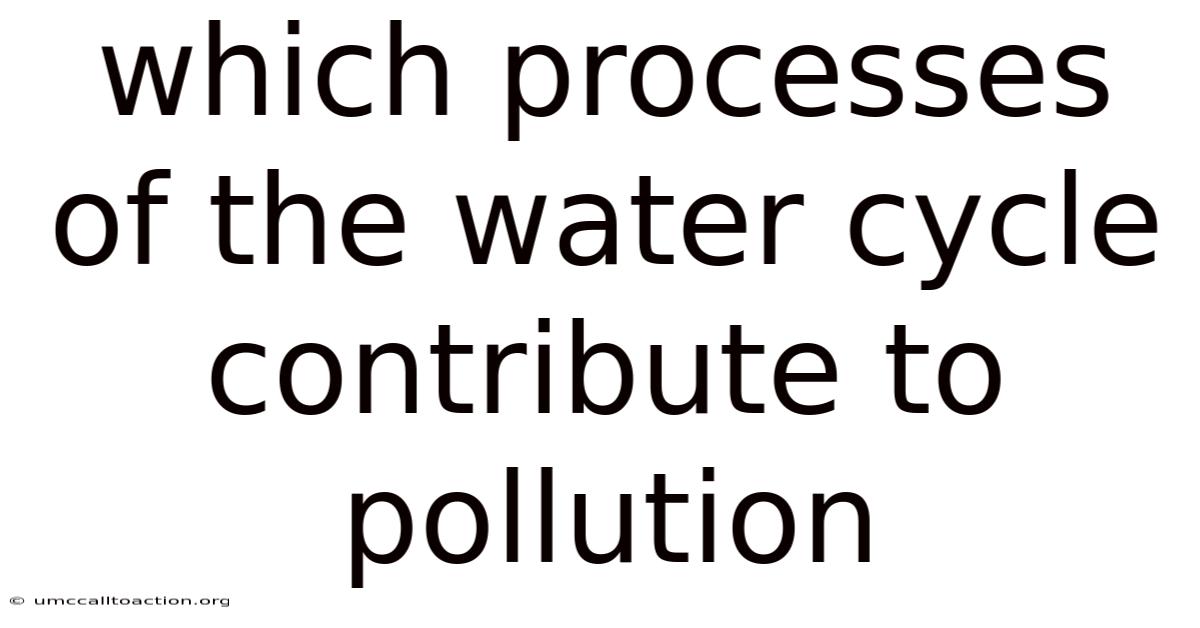 Which Processes Of The Water Cycle Contribute To Pollution