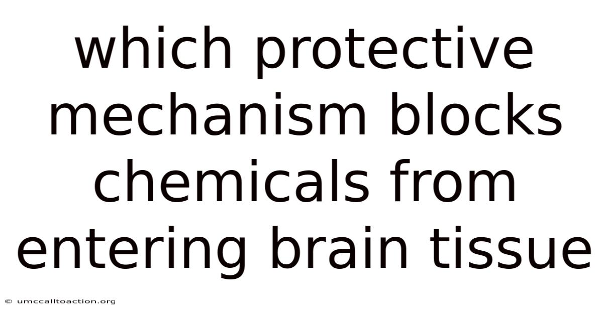 Which Protective Mechanism Blocks Chemicals From Entering Brain Tissue