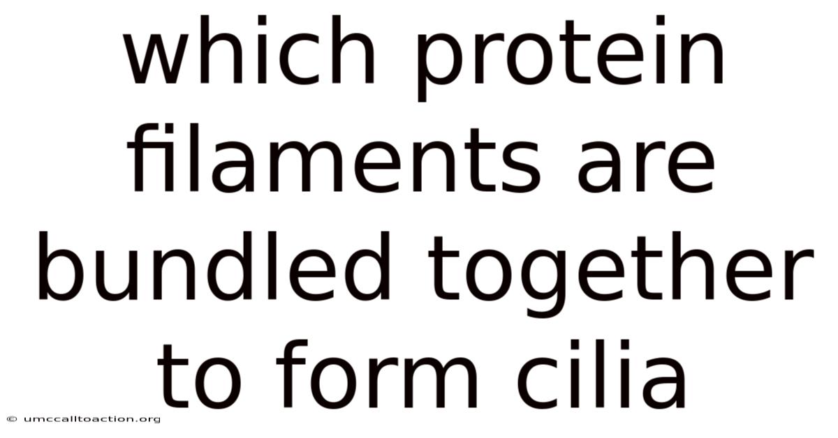 Which Protein Filaments Are Bundled Together To Form Cilia