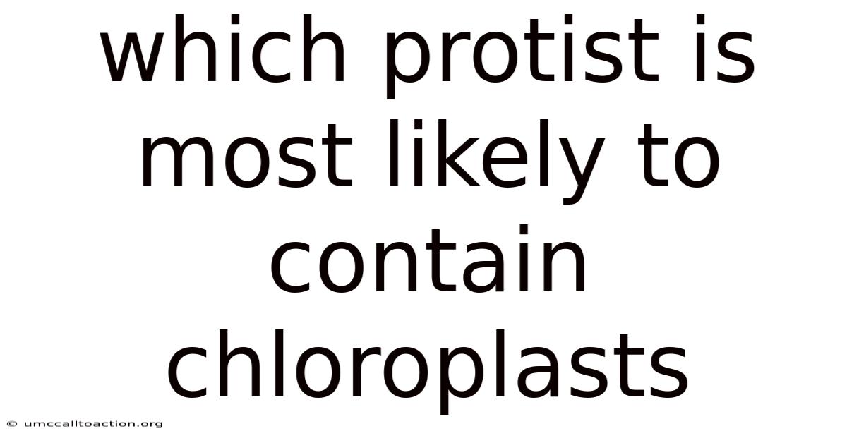 Which Protist Is Most Likely To Contain Chloroplasts
