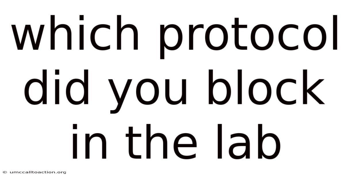 Which Protocol Did You Block In The Lab