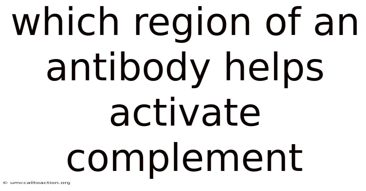Which Region Of An Antibody Helps Activate Complement