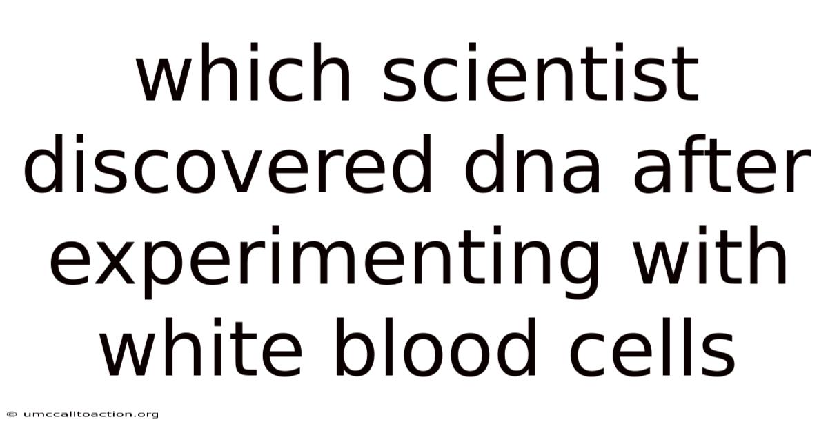 Which Scientist Discovered Dna After Experimenting With White Blood Cells
