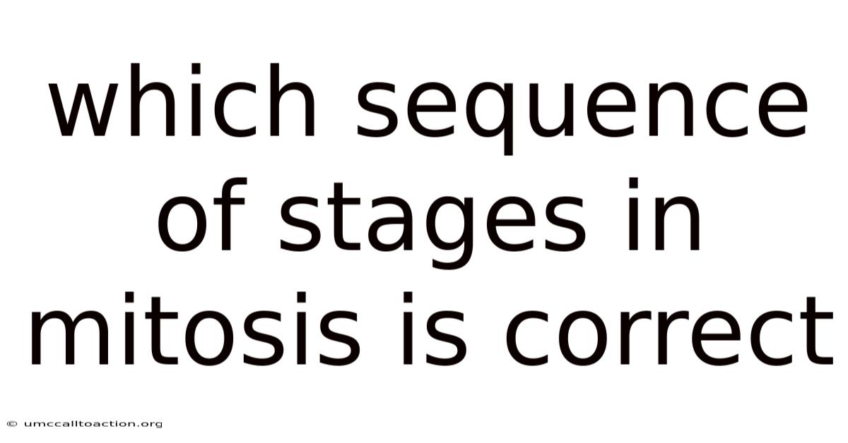 Which Sequence Of Stages In Mitosis Is Correct