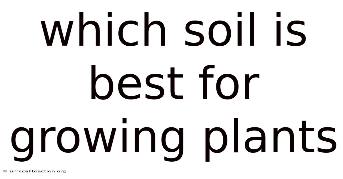 Which Soil Is Best For Growing Plants