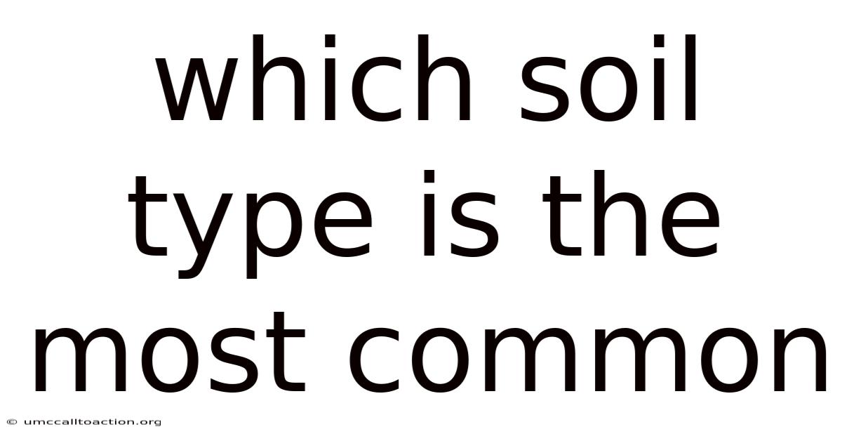 Which Soil Type Is The Most Common
