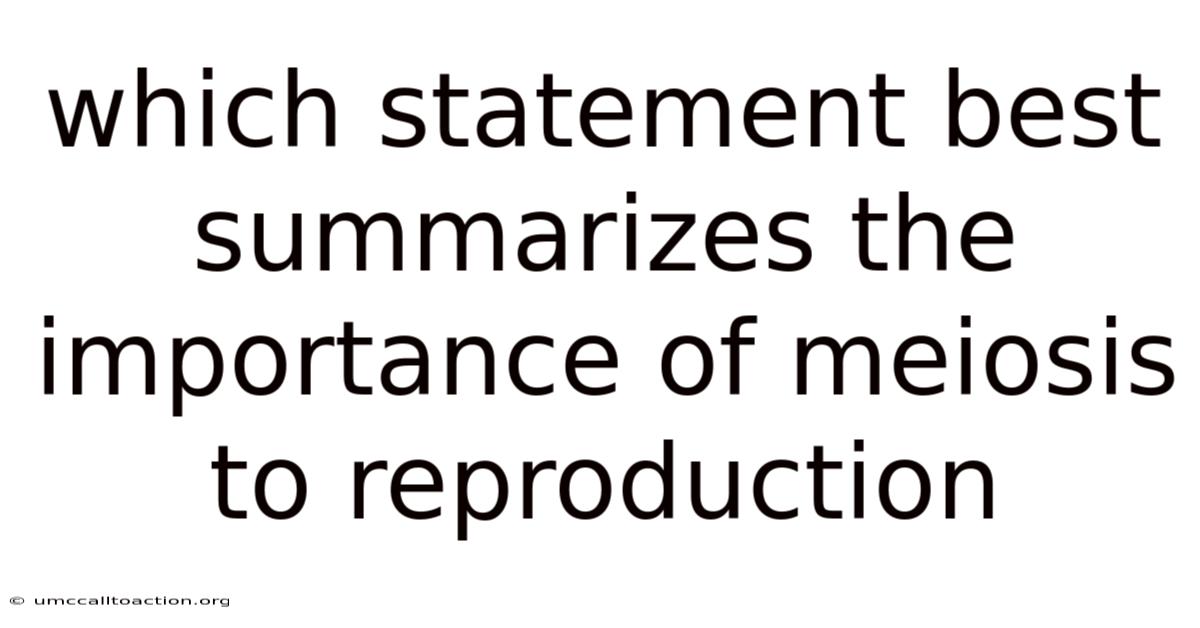 Which Statement Best Summarizes The Importance Of Meiosis To Reproduction