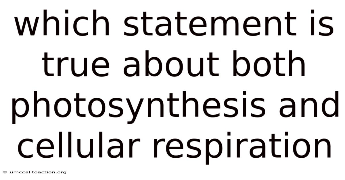 Which Statement Is True About Both Photosynthesis And Cellular Respiration