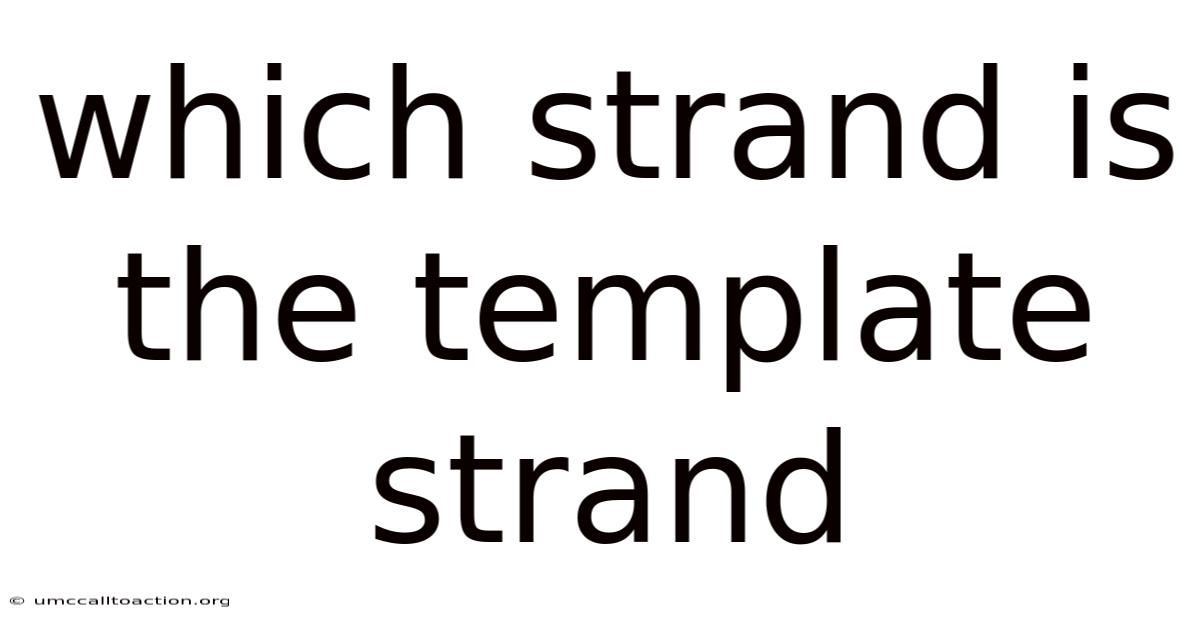 Which Strand Is The Template Strand