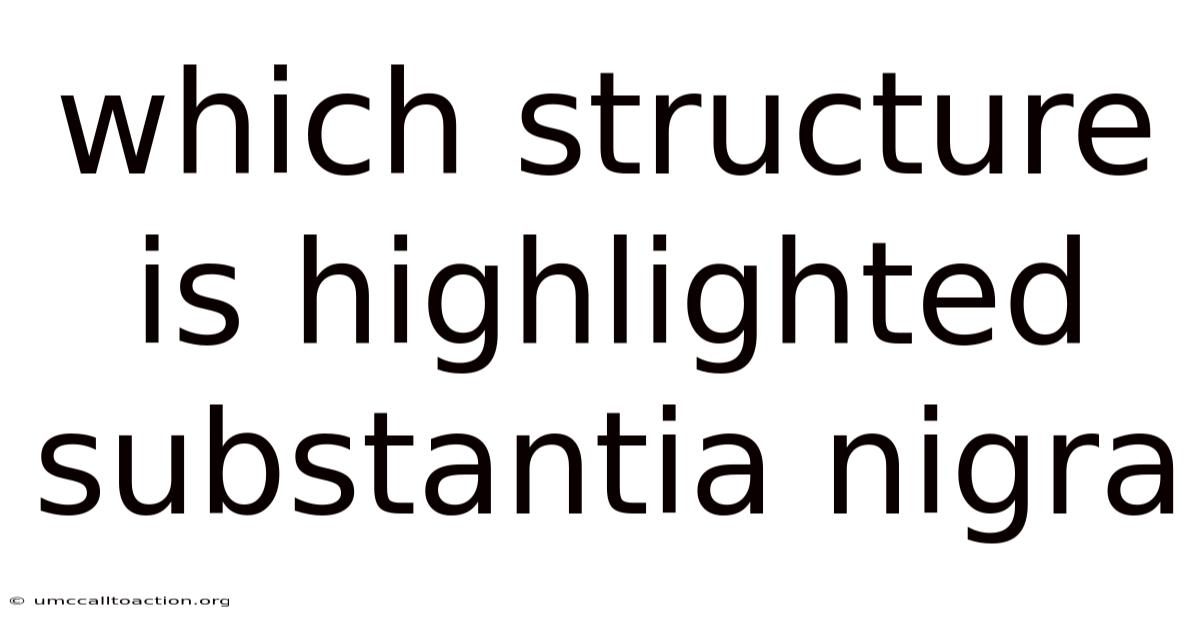 Which Structure Is Highlighted Substantia Nigra
