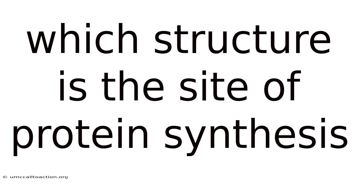Which Structure Is The Site Of Protein Synthesis