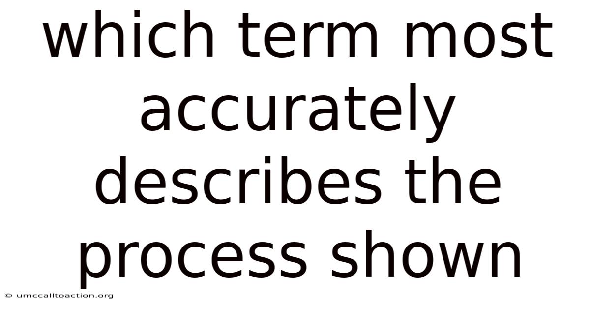 Which Term Most Accurately Describes The Process Shown