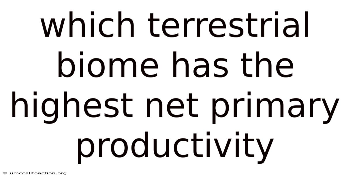 Which Terrestrial Biome Has The Highest Net Primary Productivity