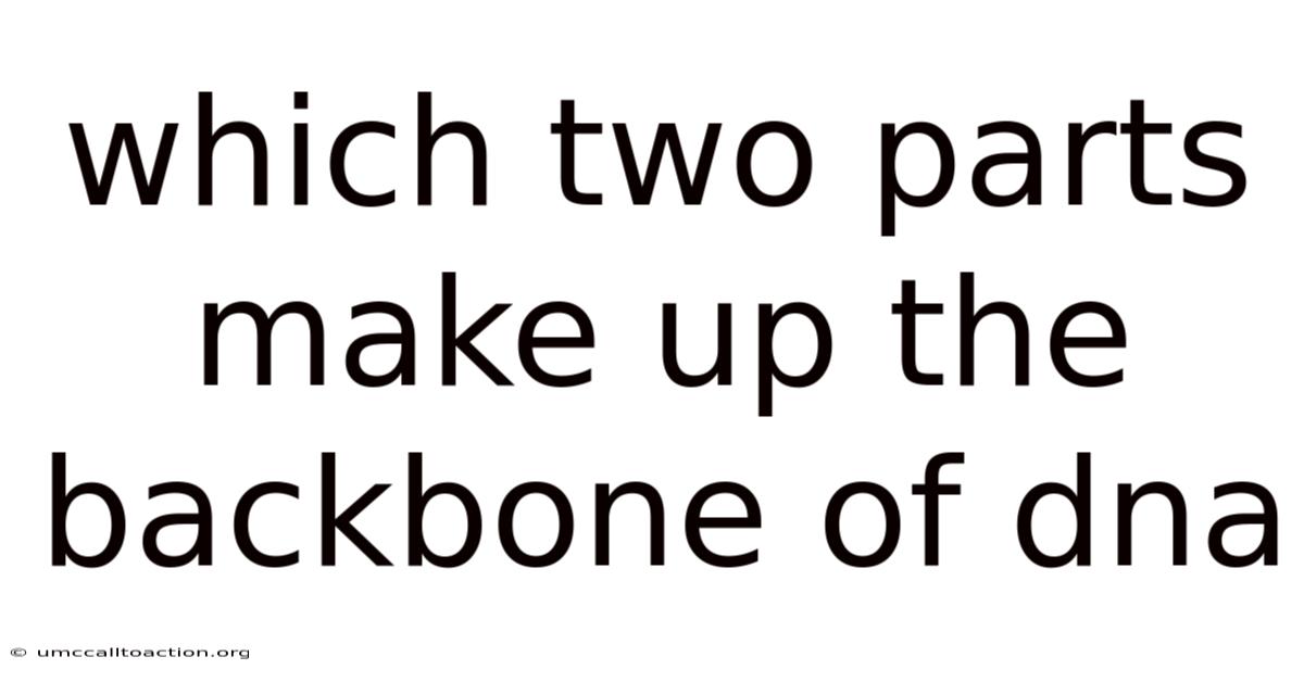 Which Two Parts Make Up The Backbone Of Dna