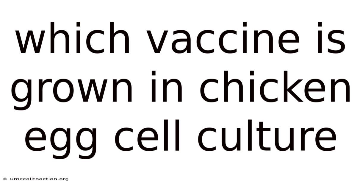 Which Vaccine Is Grown In Chicken Egg Cell Culture