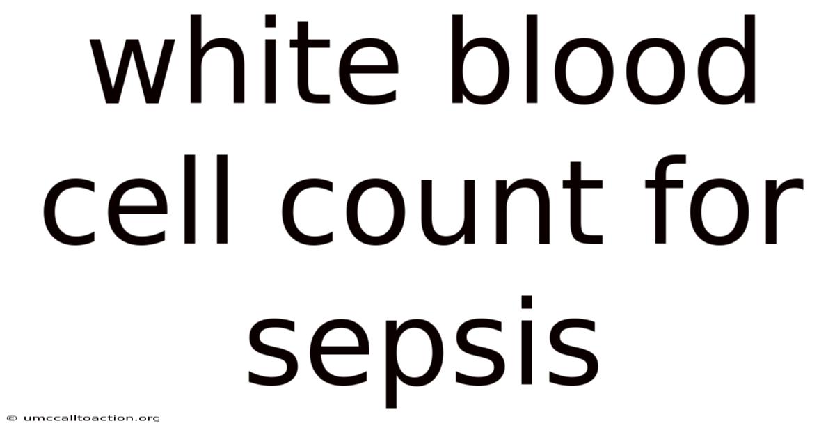 White Blood Cell Count For Sepsis