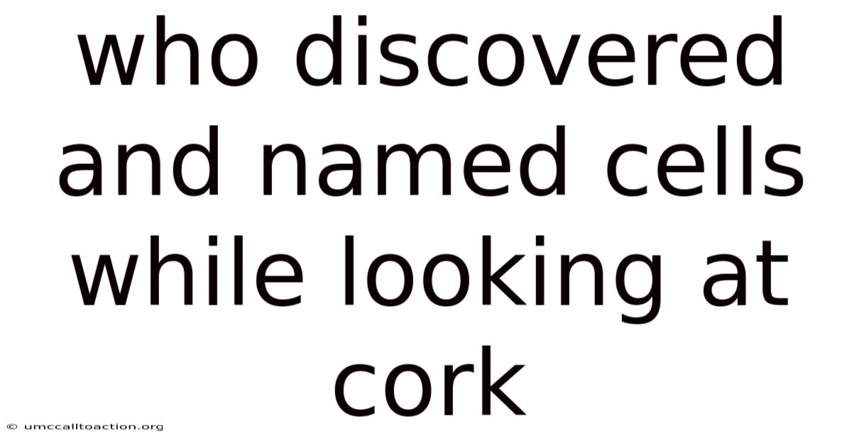 Who Discovered And Named Cells While Looking At Cork