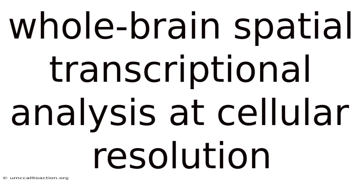 Whole-brain Spatial Transcriptional Analysis At Cellular Resolution
