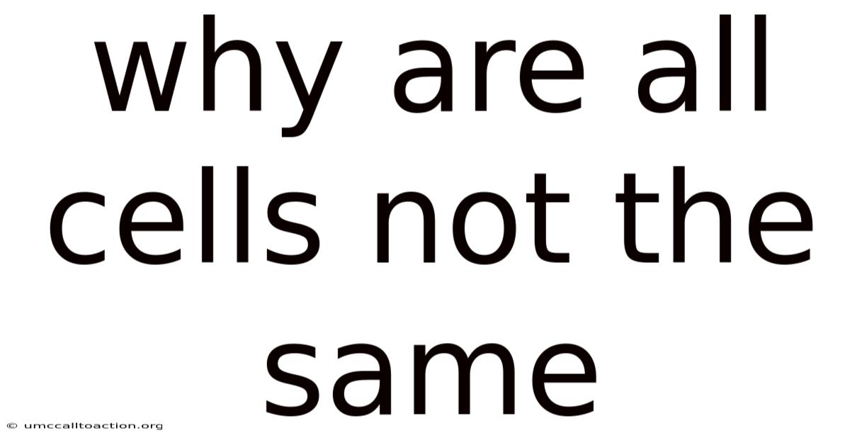 Why Are All Cells Not The Same