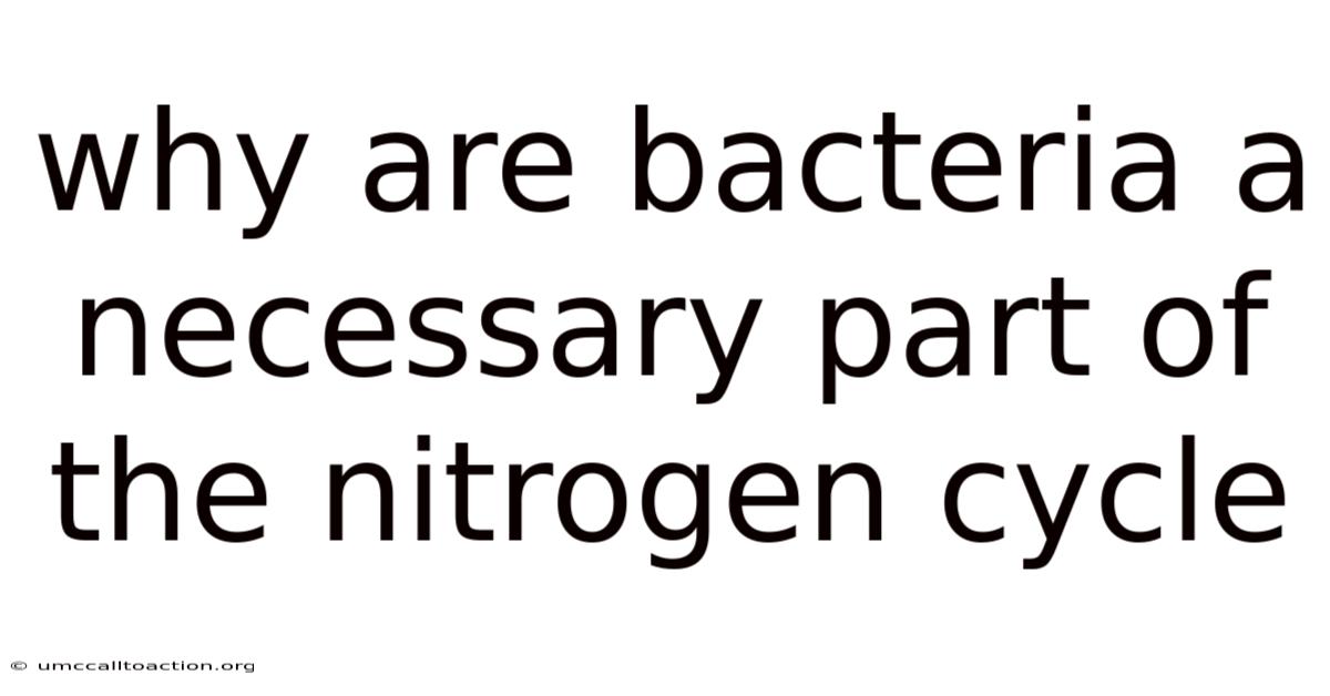 Why Are Bacteria A Necessary Part Of The Nitrogen Cycle