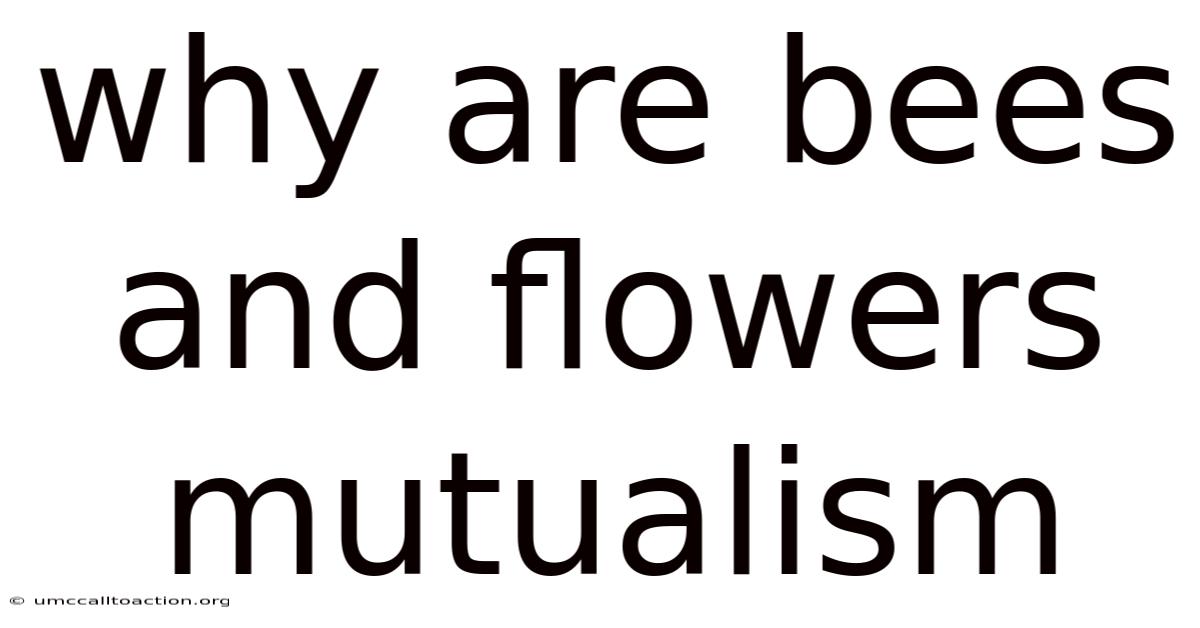 Why Are Bees And Flowers Mutualism
