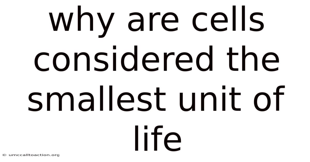 Why Are Cells Considered The Smallest Unit Of Life